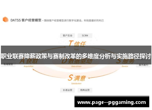 职业联赛降薪政策与赛制改革的多维度分析与实施路径探讨