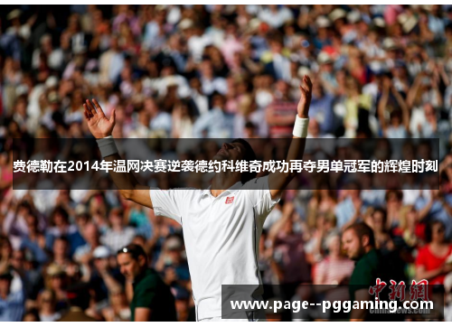 费德勒在2014年温网决赛逆袭德约科维奇成功再夺男单冠军的辉煌时刻