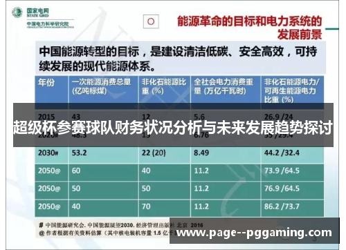 超级杯参赛球队财务状况分析与未来发展趋势探讨 超级杯参赛球队财务状况分析与未来发展趋势探讨