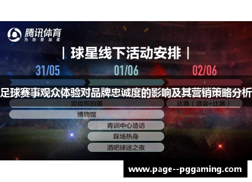 足球赛事观众体验对品牌忠诚度的影响及其营销策略分析