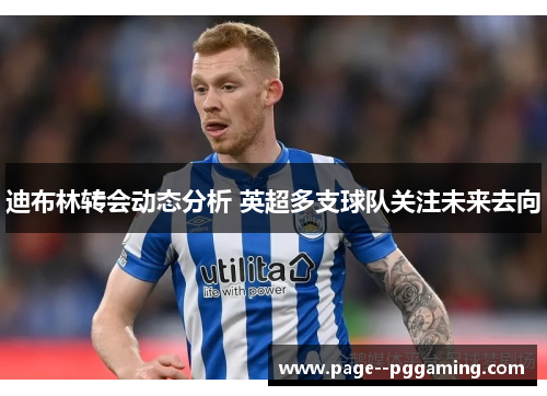 迪布林转会动态分析 英超多支球队关注未来去向 迪布林转会动态分析 英超多支球队关注未来去向