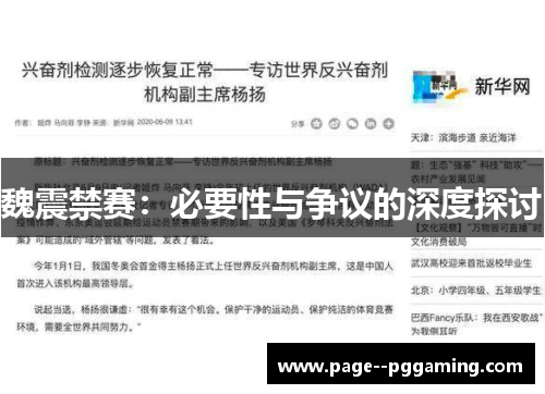 魏震禁赛：必要性与争议的深度探讨