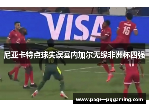 尼亚卡特点球失误塞内加尔无缘非洲杯四强
