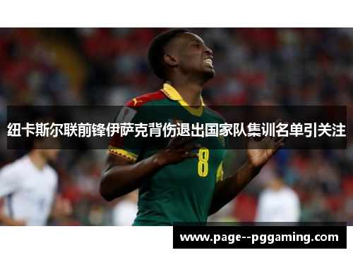 纽卡斯尔联前锋伊萨克背伤退出国家队集训名单引关注