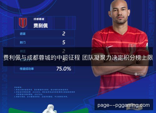 费利佩与成都蓉城的中超征程 团队凝聚力决定积分榜上限